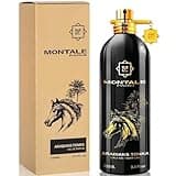 Arabians Tonka de Montale de Montale